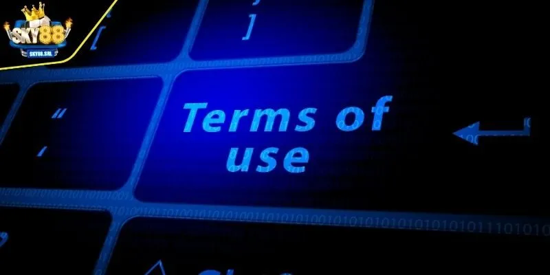 Điều khoản chi tiết trong quá trình cá cược tại web